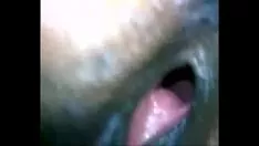 تشغيل الخير كيتي القط