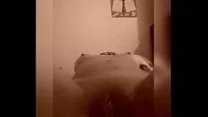 Oynat Harlot, çantalarını nasıl sıkıştırdığını ve hgaeliclf'i nasıl işaretlediğini izliyor
