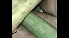 播放 踏姐妹踏同志踏姐妹踏过度保护