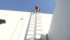 Afspelen Slechte Nikail Ray eikels dot plakkaat vestingmuur op een gebouw dak