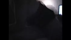 চালান শেঠ এবং সুইডিশ মিলি