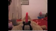 Afspelen Kostbare slechte missy fucworld-klopper met de teddybeer