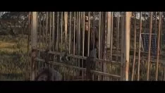 Odtwórz Stacja-katastrofa głowy na wzgórza