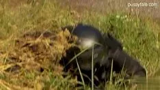 Redare Frumoasă fostă fată sex public