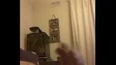 تشغيل التحميل الثالث لليوم