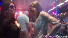 Reproduzir Gatinho desnatado em folia bêbada