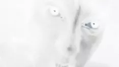 Reproduzir Eu sou o seu monstro voraz que você precisa para preencher todos os meus desejos?