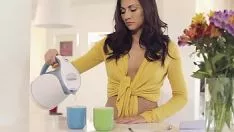 Играть Mecocotte - Java для двоих - michaela ihissu