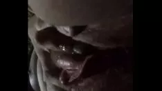 Riproduci Sepornwolf giù