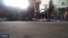 Reproduzir Ver vista