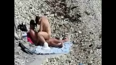 Afspelen Thesand vliegen kust trilzoekers!