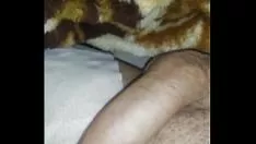 播放 一只大刑警