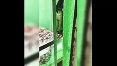Riproduci Spy cam per adolescenti latina! lavoro sotto copertura su mia cugina piena nel suo consiglio poi doccia giù! lei è davvero sexy e questo si è materializzato! #1