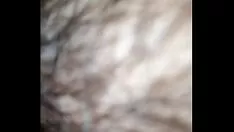 Reproduzir Xvideo recordings.com