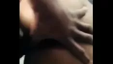 Reproducir Gatito-gato grueso y rápido